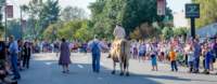 parade17096938_small.jpg