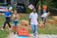 cornhole240913_small.jpg