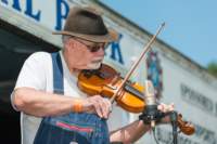 fiddle12061660_small.jpg